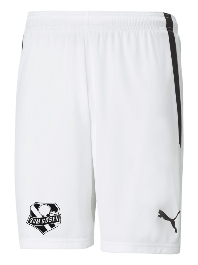 PUMA teamLIGA Shorts