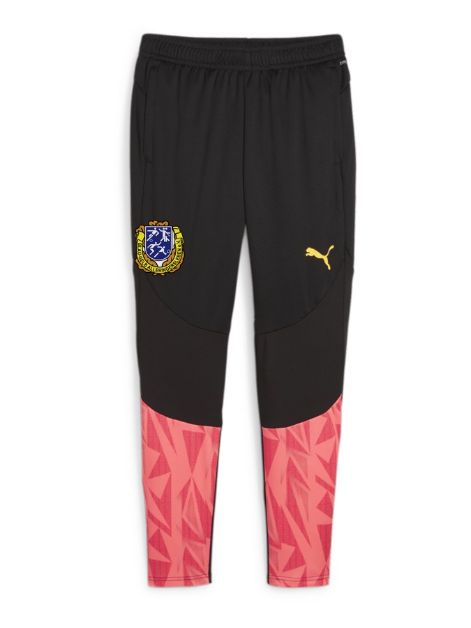 PUMA individualFINAL Trainingshose