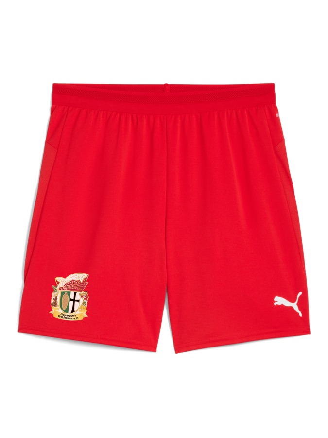 PUMA teamCUP Shorts