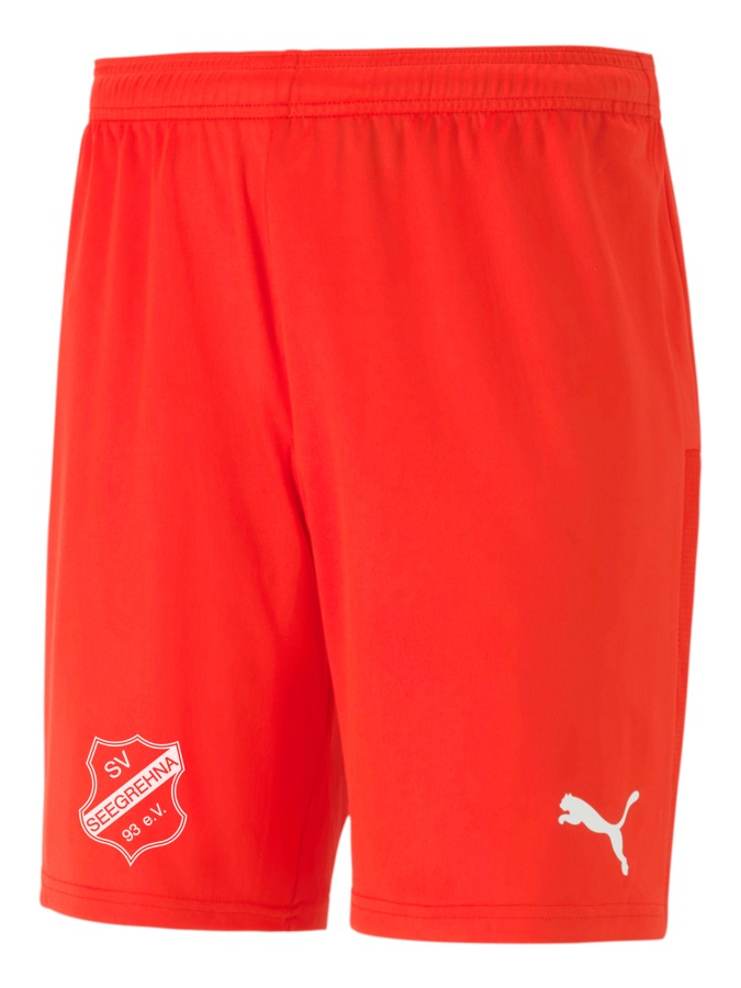 PUMA teamGOAL 23 Knit Shorts
