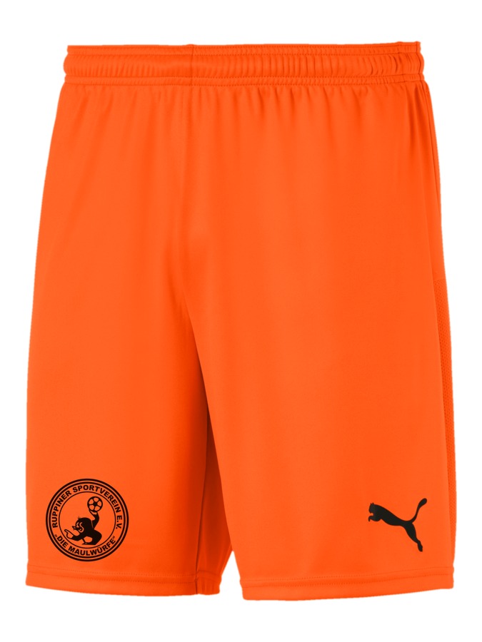PUMA teamGOAL 23 Knit Shorts