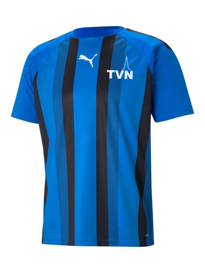 PUMA teamLIGA Striped Trikot