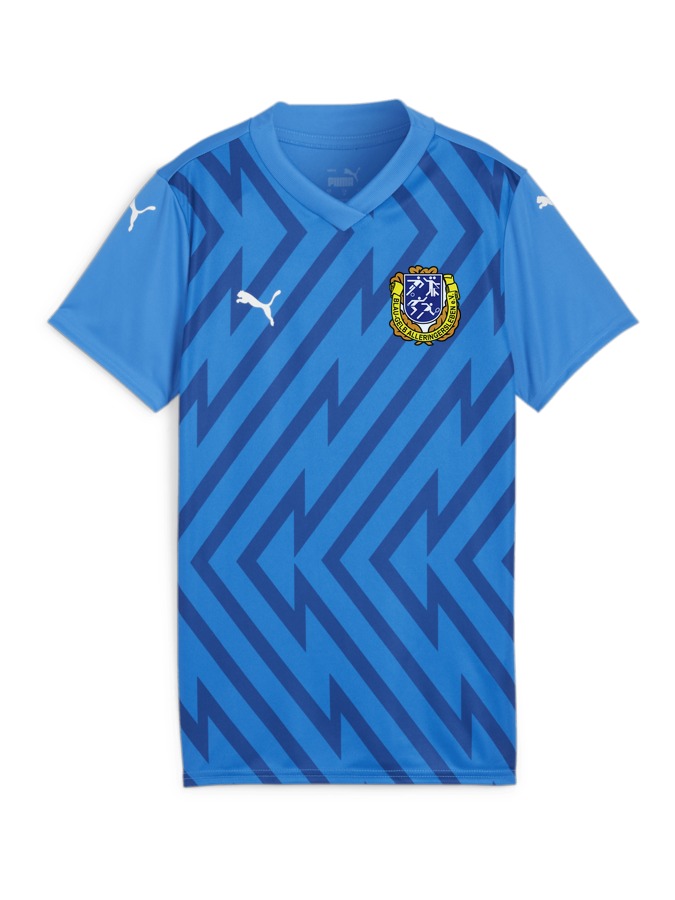 PUMA teamGLORY Trikot Damen