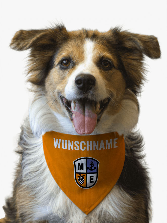 Hundehalstuch