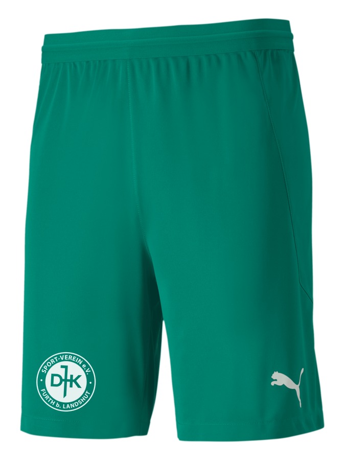 PUMA teamFINAL 21 Knit Shorts