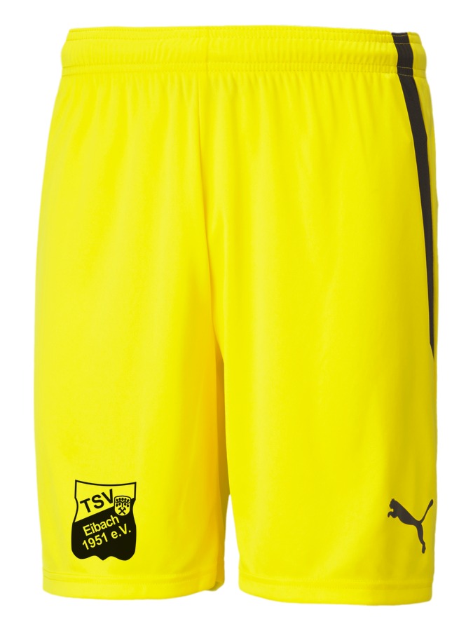 PUMA teamLIGA Shorts