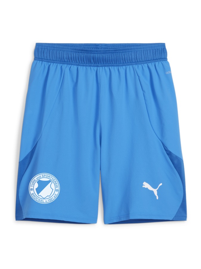 PUMA teamFINAL Shorts
