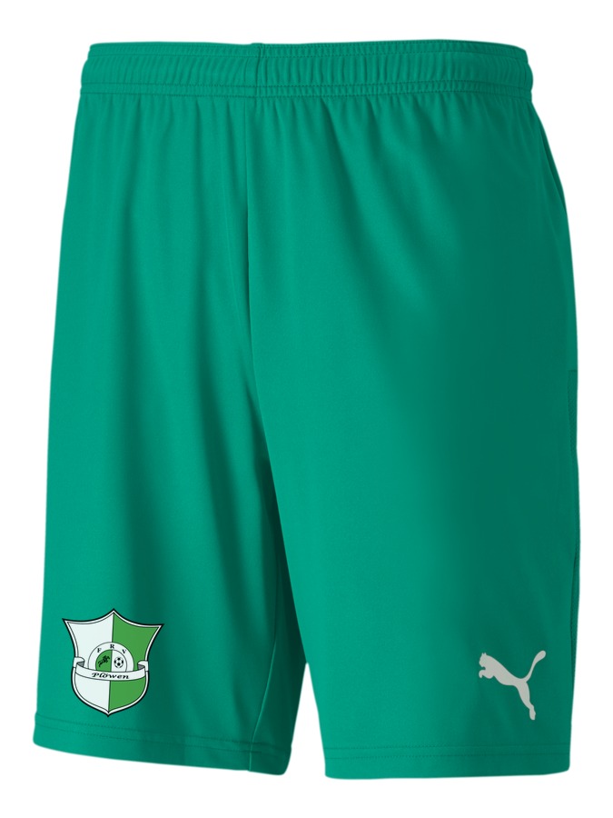 PUMA teamGOAL 23 Knit Shorts