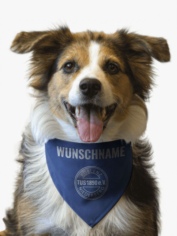 Hundehalstuch
