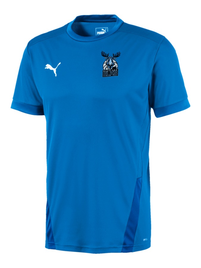 PUMA teamGOAL 23 Trikot