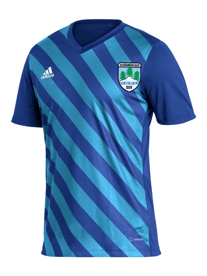 adidas Entrada 22 GFX Trikot