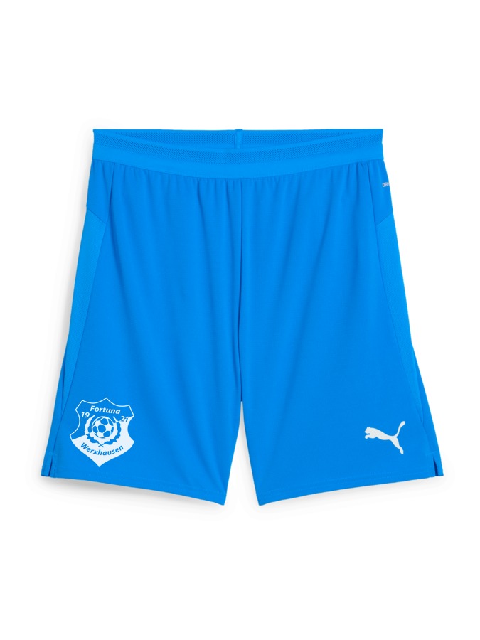 PUMA teamCUP Shorts