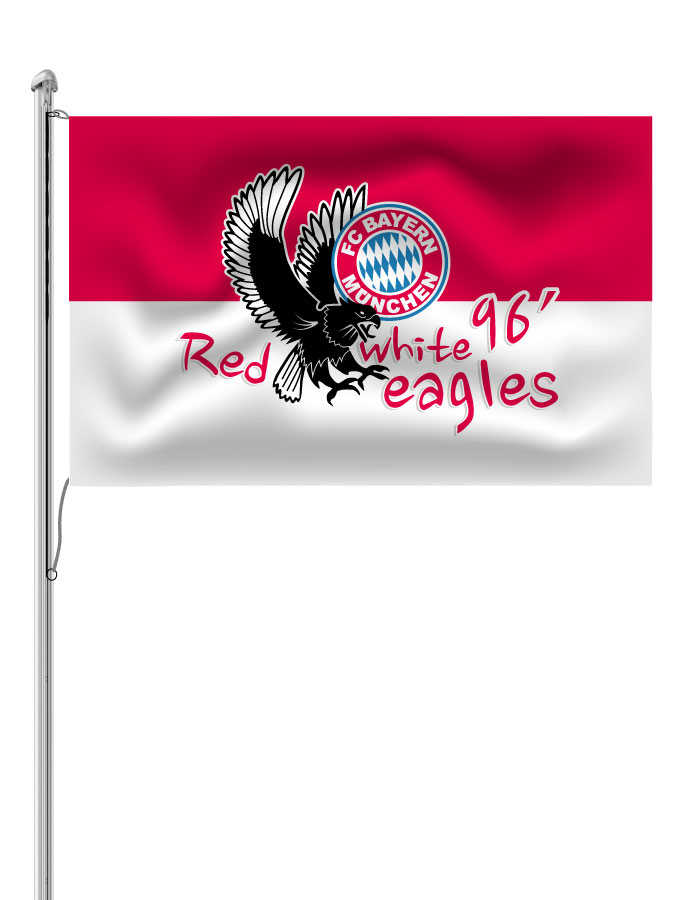 Hissfahne Logo