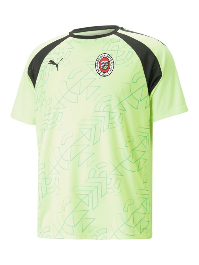 PUMA teamLIGA Graphic Trikot