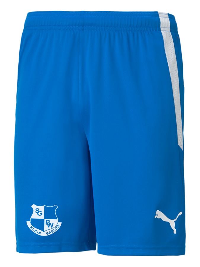 PUMA teamLIGA Shorts