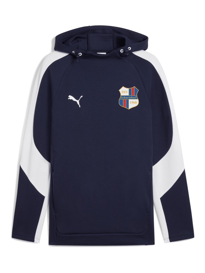 PUMA teamEVOSTRIPE Hoody