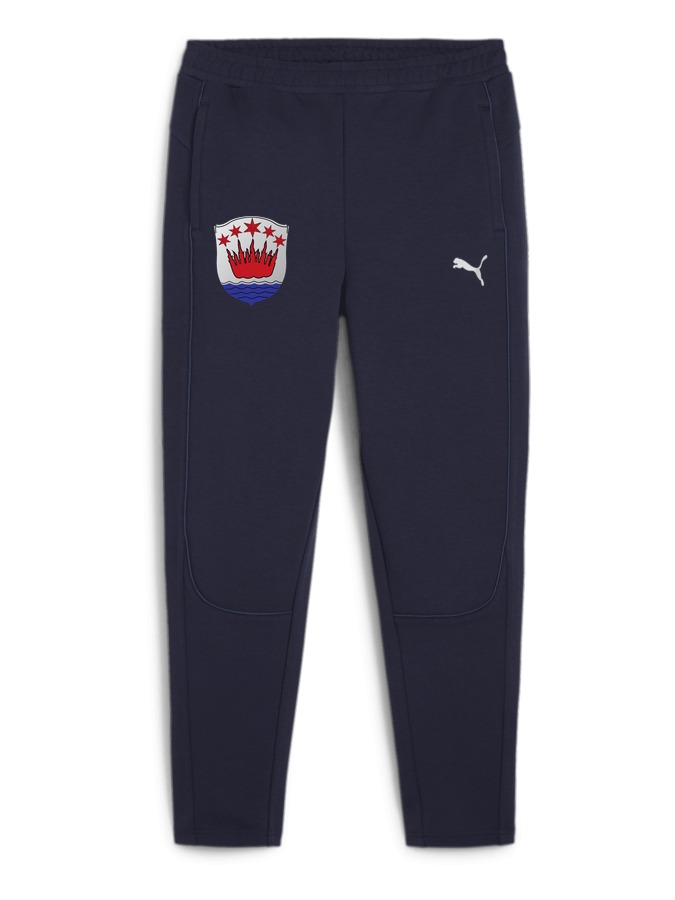 PUMA teamFINAL Casuals Hose Damen