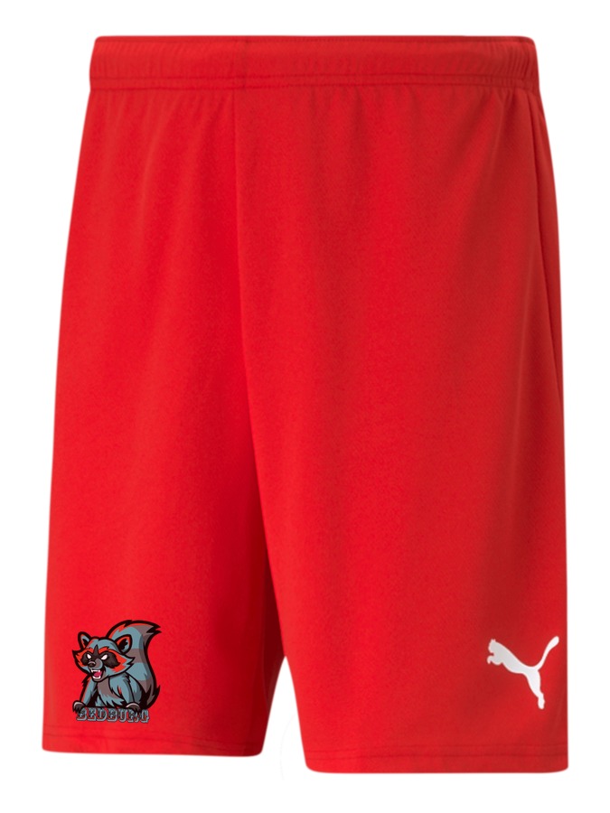 PUMA teamRISE Short