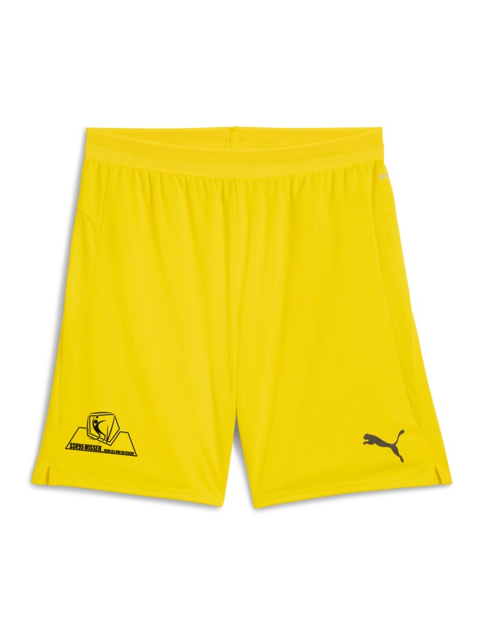 PUMA teamCUP Shorts