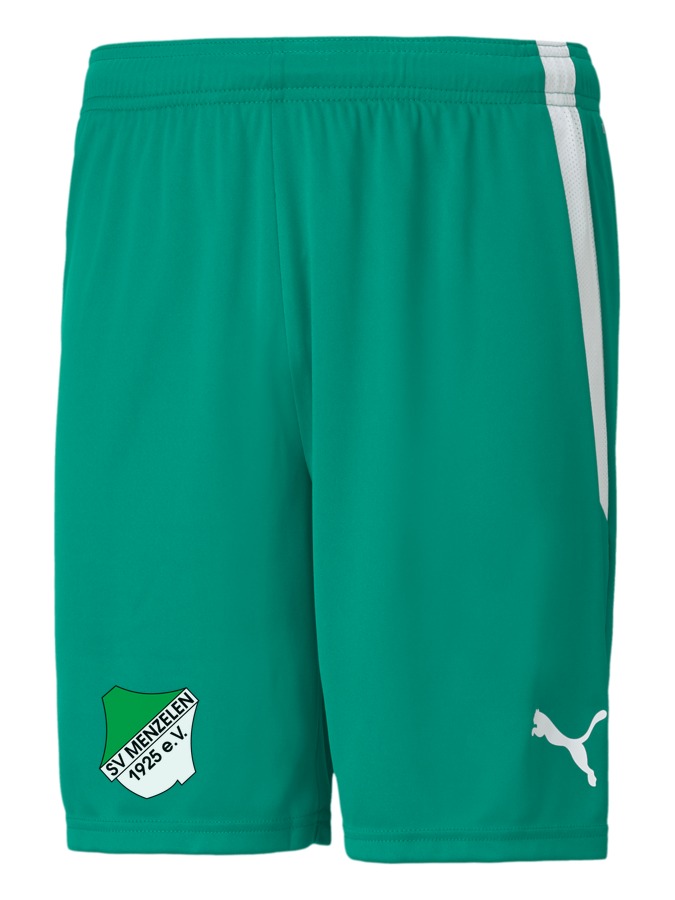 PUMA teamLIGA Shorts