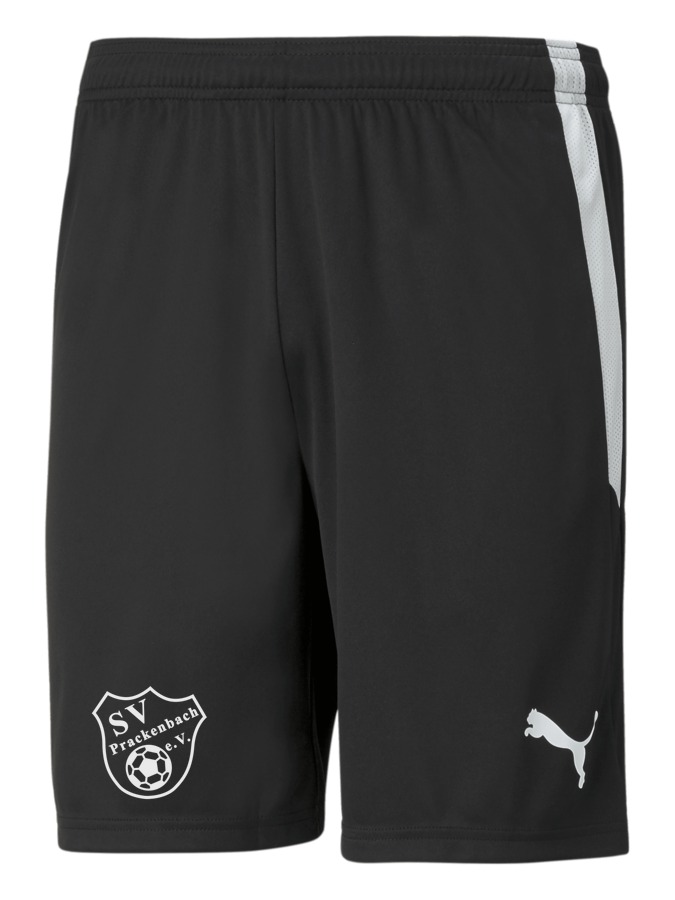 PUMA teamLIGA Shorts