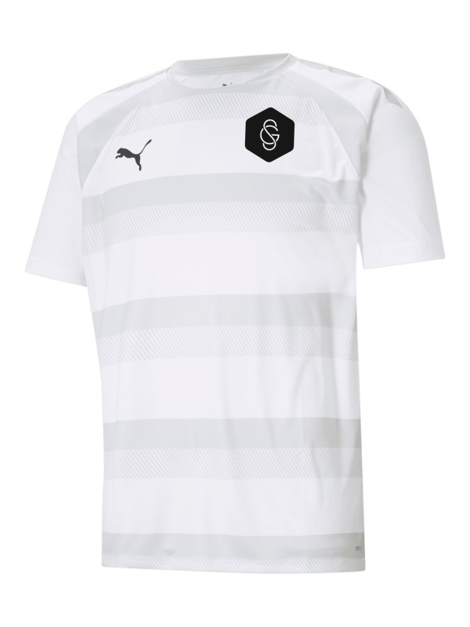 PUMA teamVISION Trikot