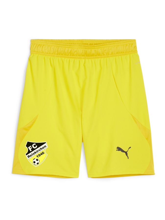 PUMA teamFINAL Shorts