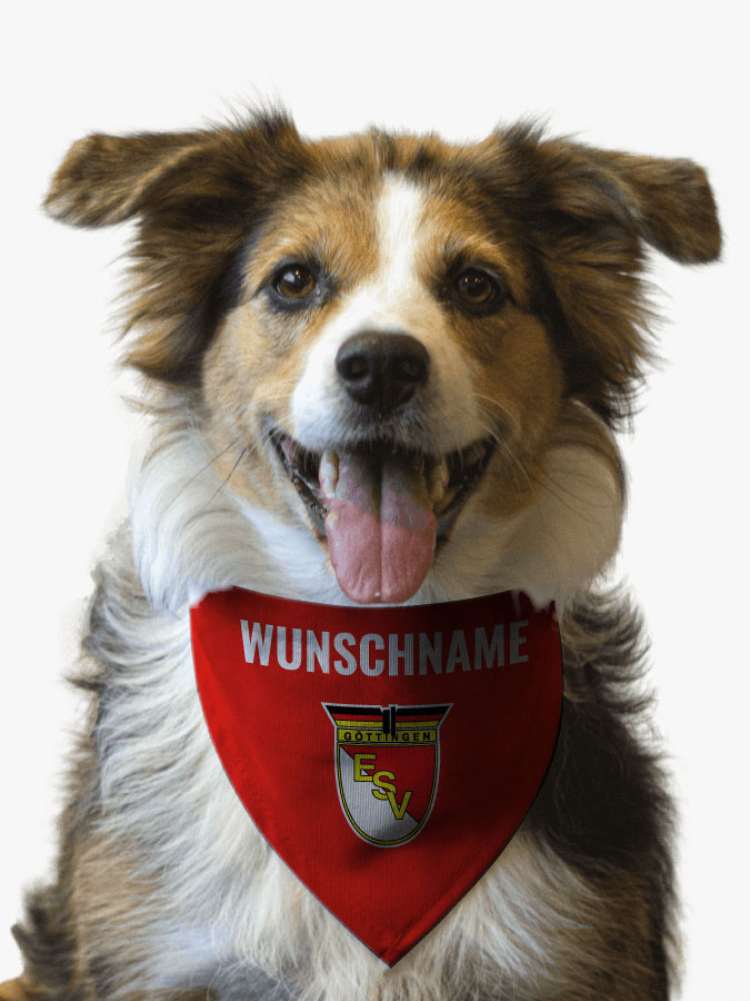 Hundehalstuch
