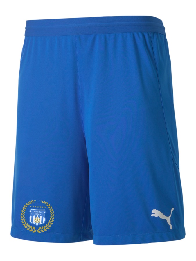 PUMA teamFINAL 21 Knit Shorts