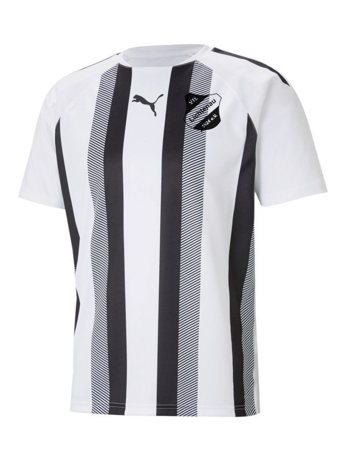 PUMA teamLIGA Striped Trikot