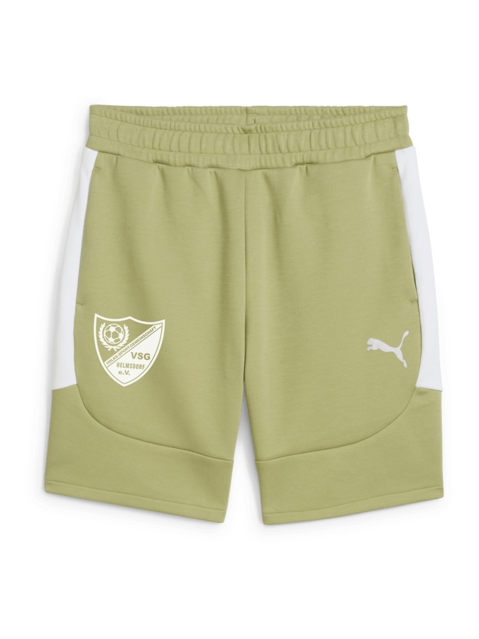 PUMA teamEVOSTRIPE Shorts