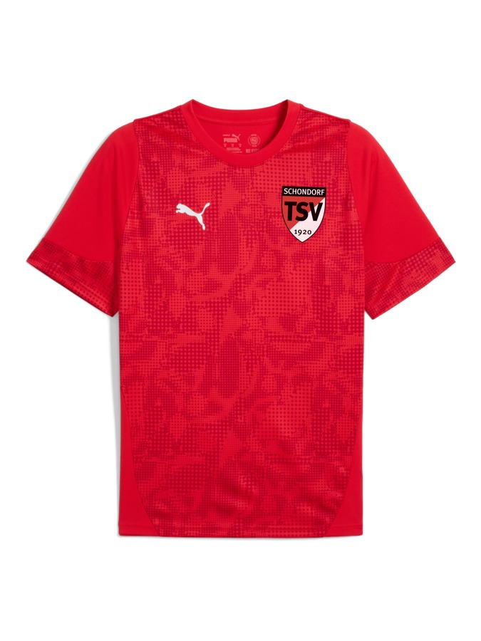 PUMA teamCUP Trainingsshirt