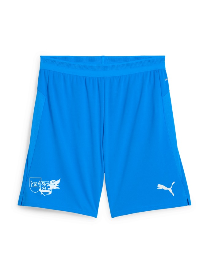 PUMA teamCUP Shorts