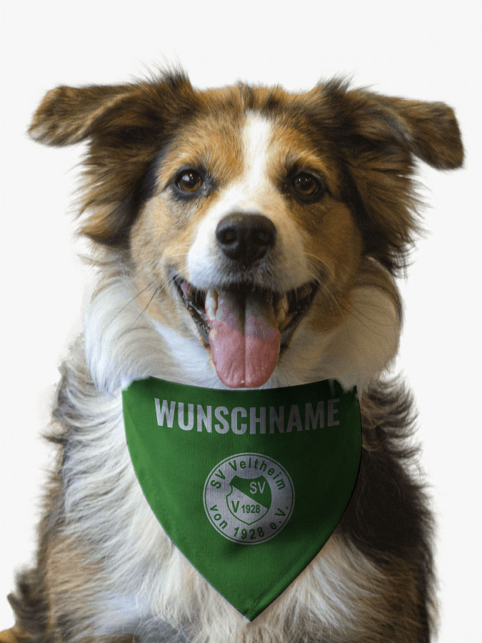Hundehalstuch