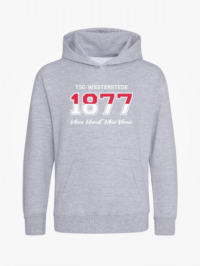 Hoodie Established Kids