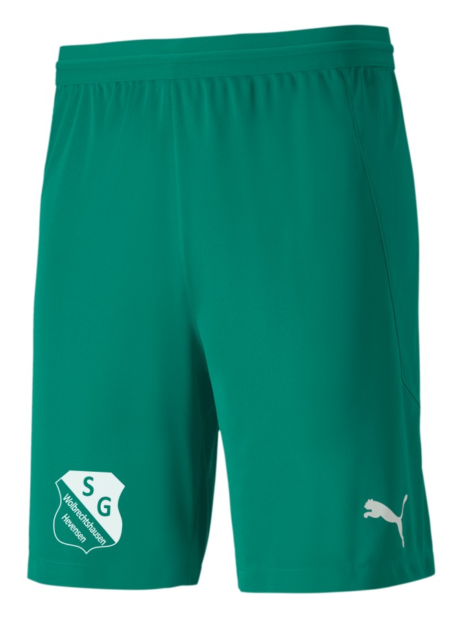 PUMA teamFINAL 21 Knit Shorts