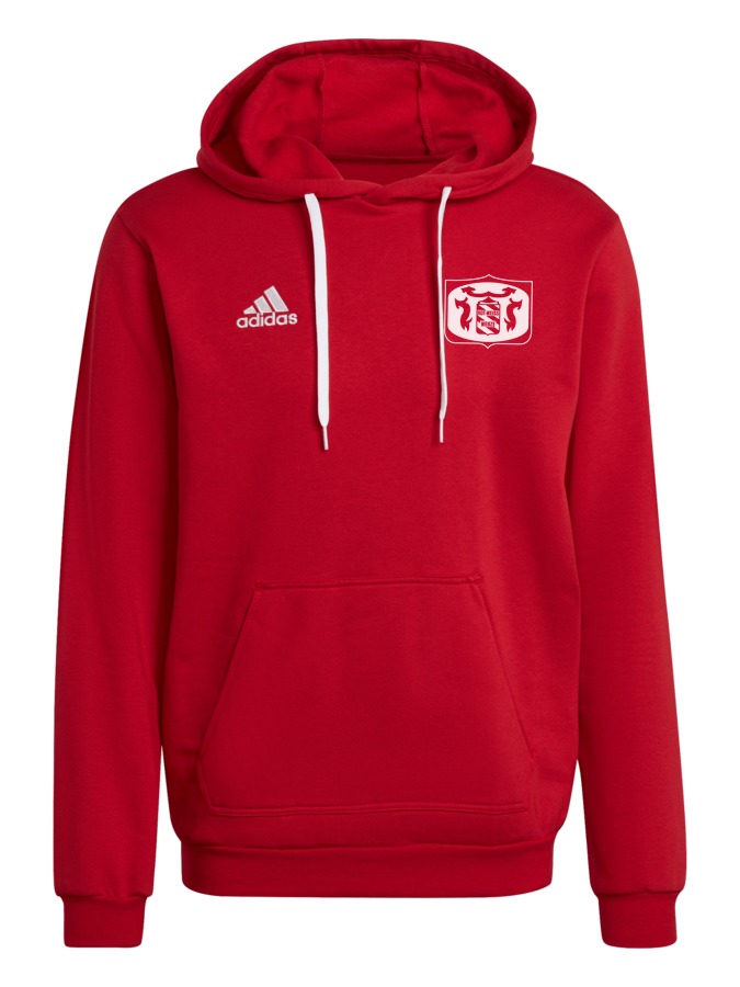 adidas Entrada 22 Hoodie