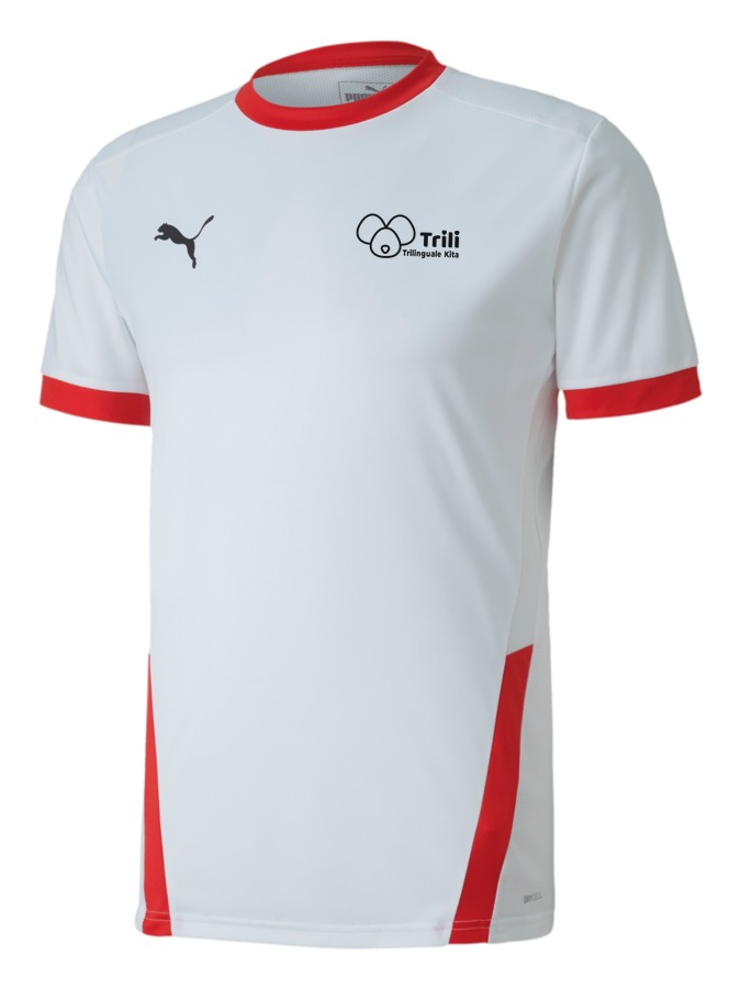 PUMA teamGOAL 23 Trikot