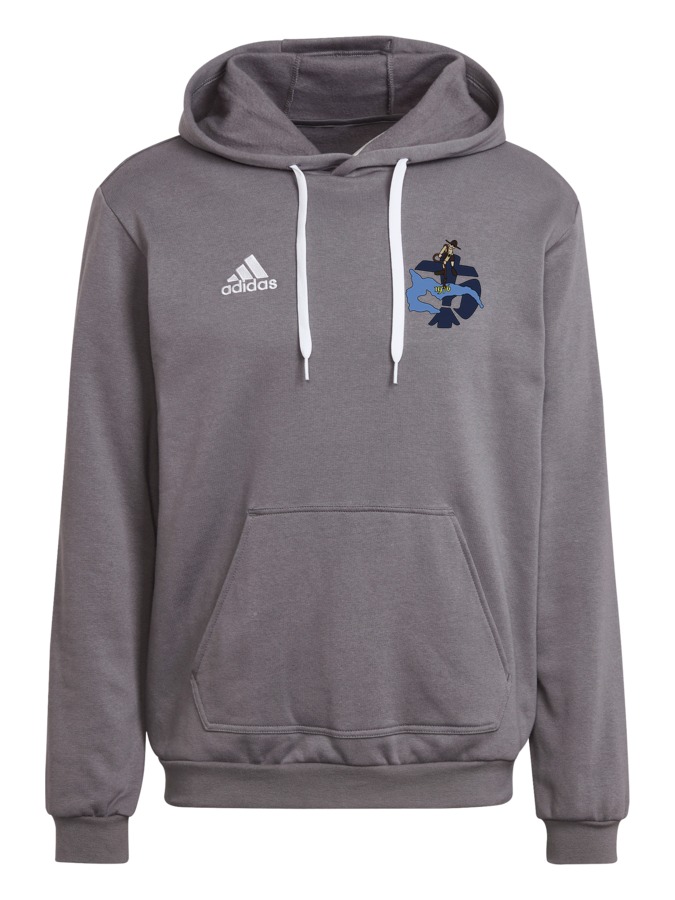 adidas Entrada 22 Hoodie