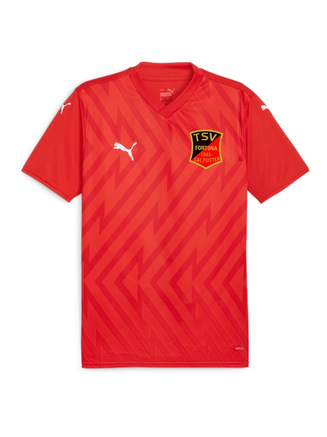 PUMA teamGLORY Trikot