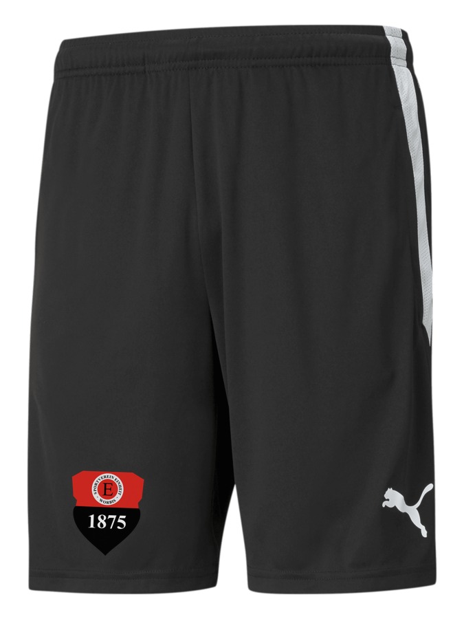 PUMA teamLIGA Training Shorts