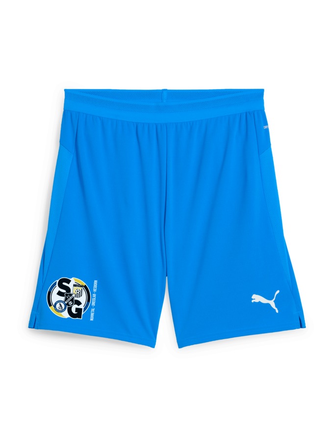 PUMA teamCUP Shorts