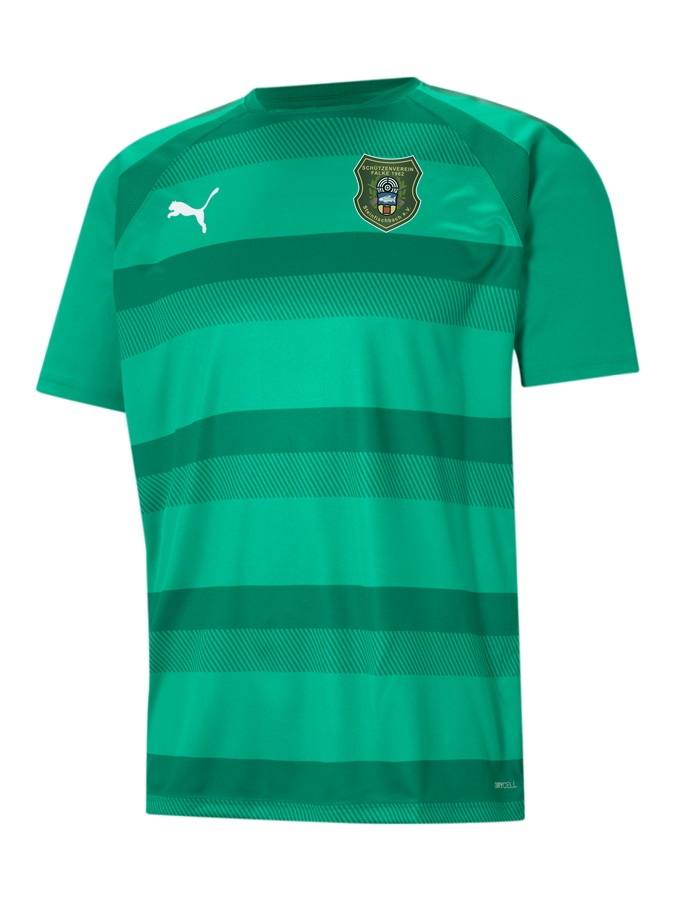 PUMA teamVISION Trikot