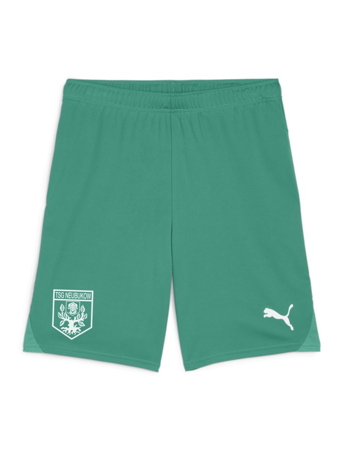 PUMA teamGOAL Shorts