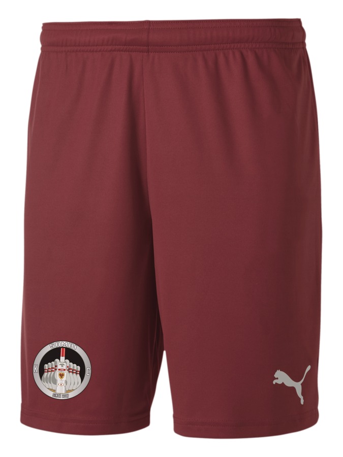 PUMA teamGOAL 23 Knit Shorts