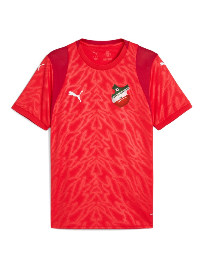 PUMA teamCUP Trikot