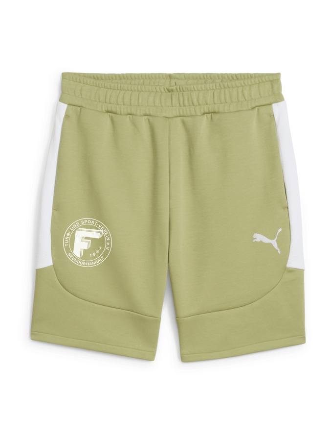 PUMA teamEVOSTRIPE Shorts