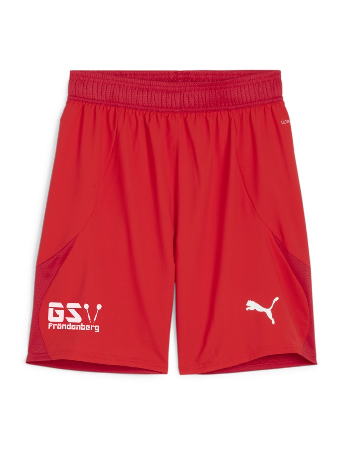 PUMA teamFINAL Shorts