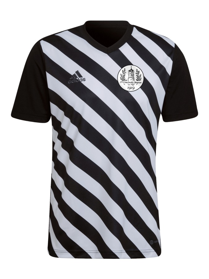 adidas Entrada 22 GFX Trikot