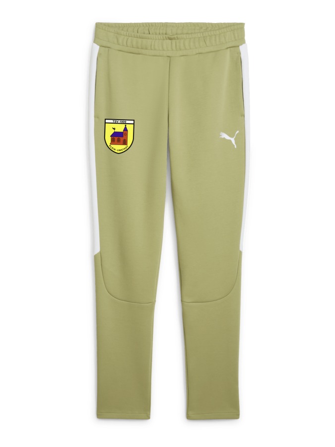 PUMA teamEVOSTRIPE Hose